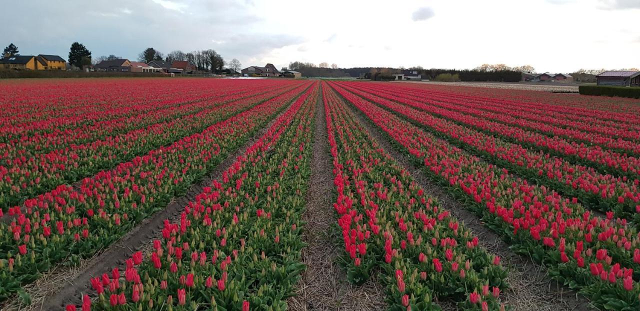 De Wagen Hotel Egmond-Binnen Eksteriør billede